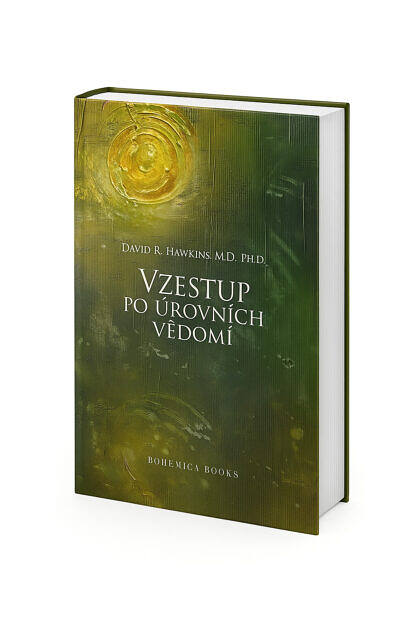 Kniha Vzestup po úrovních vědomí